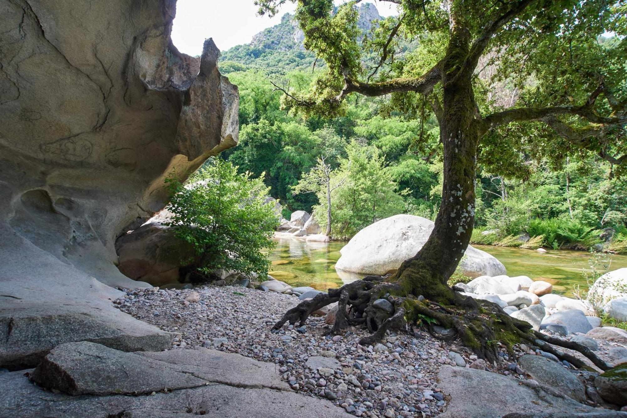 Camping Les Oliviers Porto  Buitenkant foto