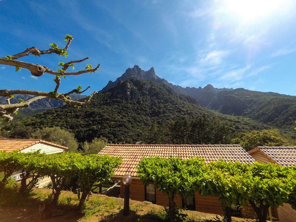 Camping Les Oliviers Porto  Buitenkant foto